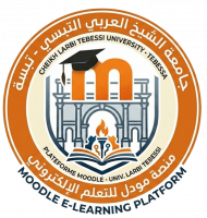 Université Echahid Cheikh Larbi Tebessi  Tebessaa